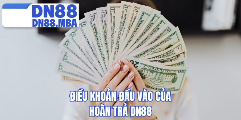 Điều khoản đầu vào của hoàn trả DN88